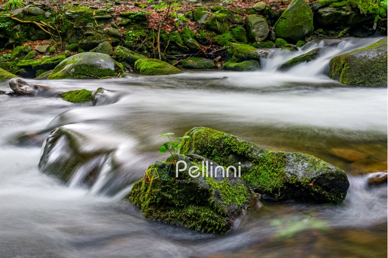 small cascades on the forest river among huge bouders covered with moss. taken with long exposure. beautiful fresh nature background
