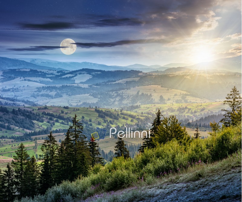 day and night composite image of Classic Carpathian mountains landscape in summer. Spruce forest on the edge of hillside over the valley panoramic view