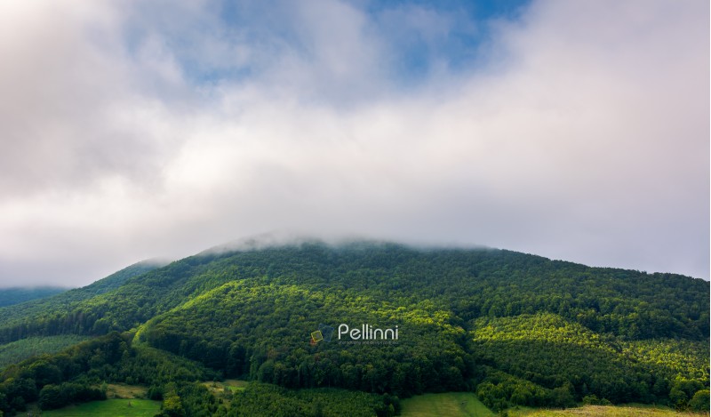 cloud above the forested hill. beautiful countryside scenery