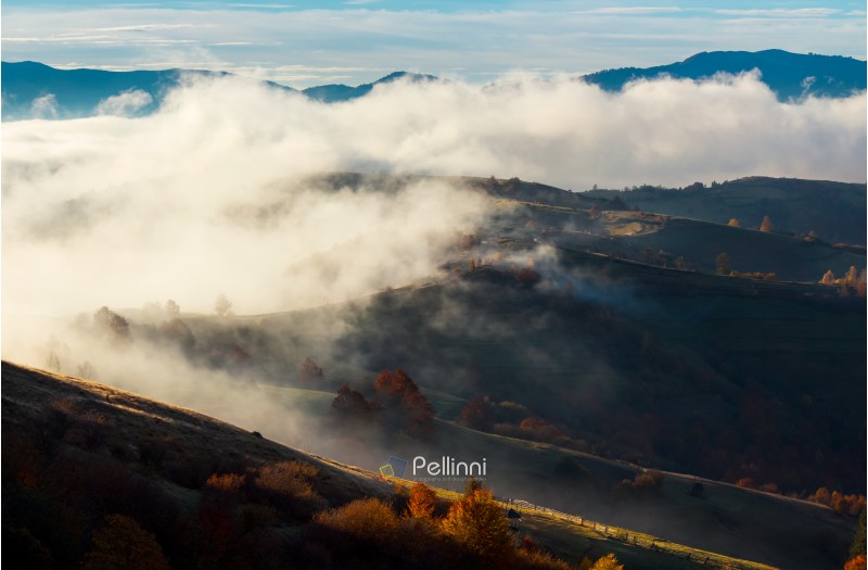 cloud inversion in autumn mountains. beautiful nature scenery. fog rolling above the rural fields in forenoon