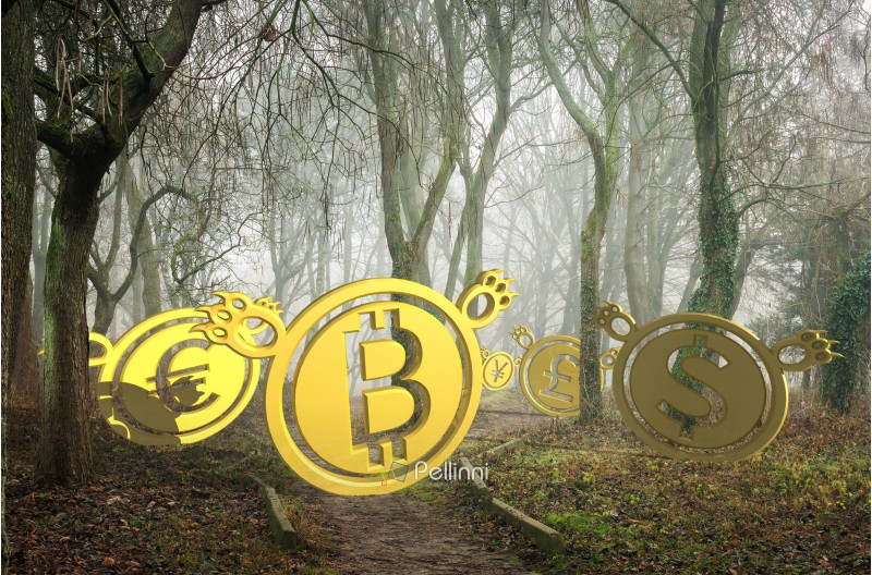 coin bears lost in foggy forest at the bottom of the valley. bearish currency descending trend. creepy deep autumn scenery. horror Halloween trading concept. 3d illustration 