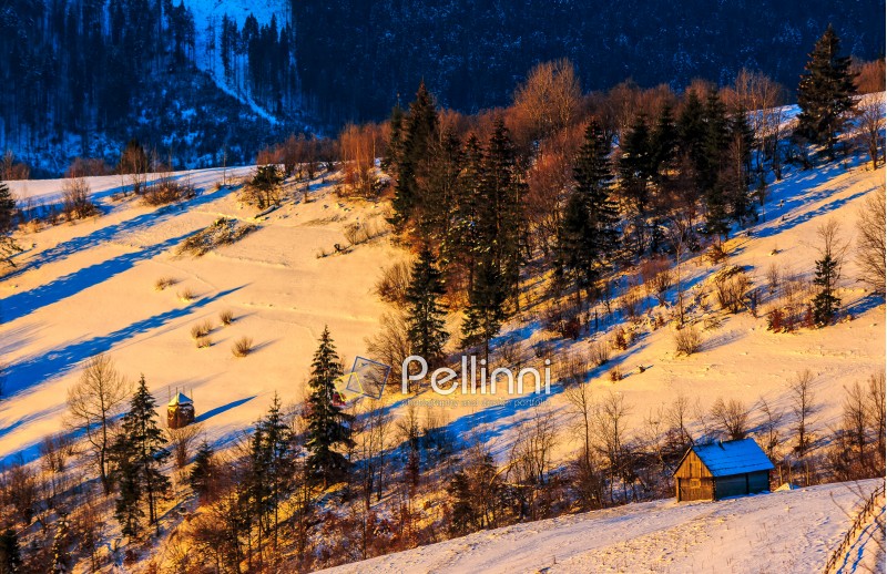 woodshed on snowy rural fields near forest. colorful sunrise in Carpathian mountains.