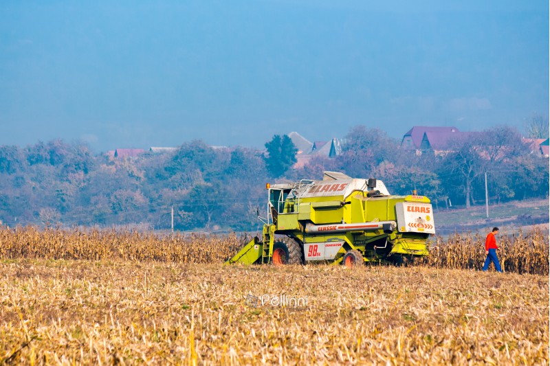 Shyroke, Ukraine - NOV 11, 2015: broken combine harvester in the corn field near the village. combine operator went searching for help. hot autumn afternoon