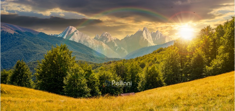 composite summer landscape in mountains under the rainbow at sunset. perfect countryside scenery with beech forest on a grassy hillside and High Tatra mountain ridge in the distance