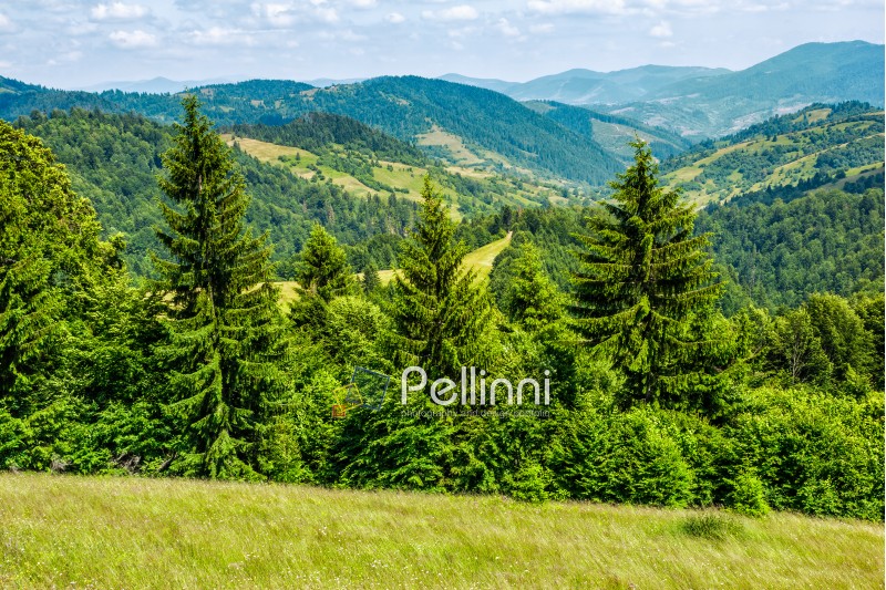 slope of mountain range with coniferous forest and village
