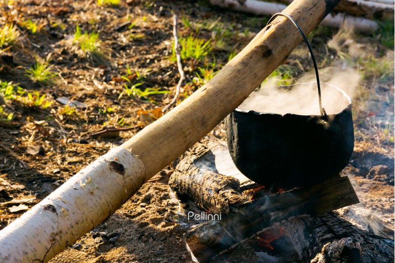 cooking on the fire. camping in the wilderness. healthy food made in traditional way