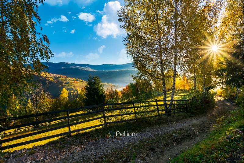 country road down the hill in to the sunrise. beautiful rural landscape in autumn. wooden fence along the road
