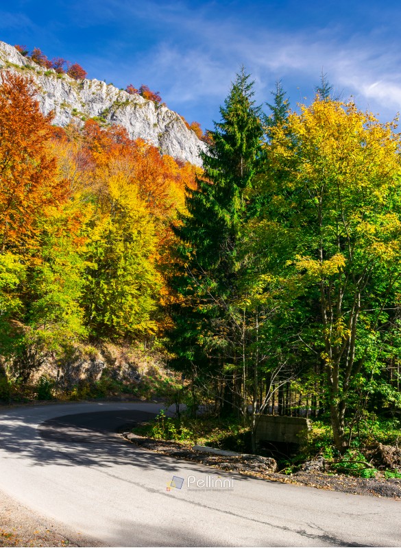 country road through forest in autumn. high cliff on top of a mountain