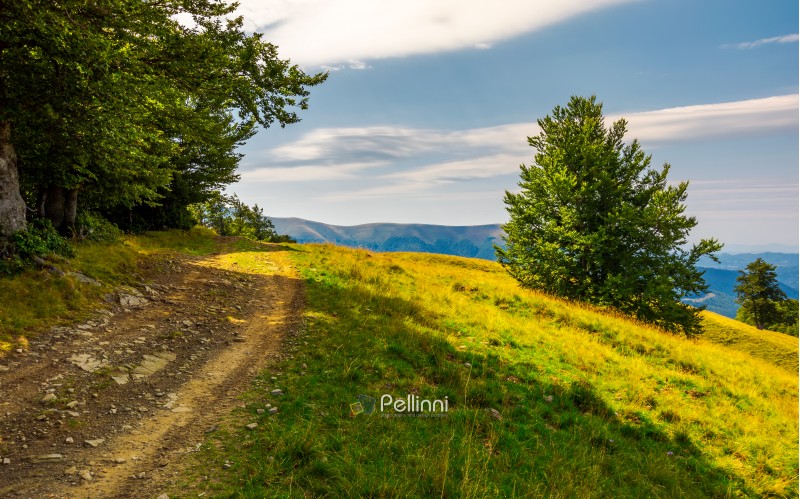 country road through forested hillside. lovely summer scenery of Carpathian mountains. Apetska mountain in the distance