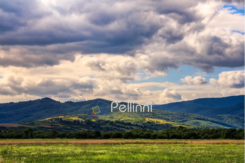 beautiful countryside landscape. rural field near the forest on a tranquil summer day. village on mountain ridge under cloudy blue sky