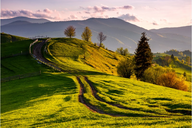 countryside with grassy slopes at sunset. wooden fence along the dirt road through rolling hills. beautiful landscape of Carpathian mountains in springtime