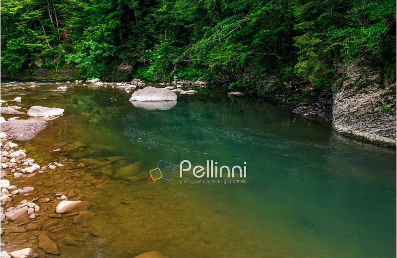 deep green forest river with rocky shore. colorful nature background