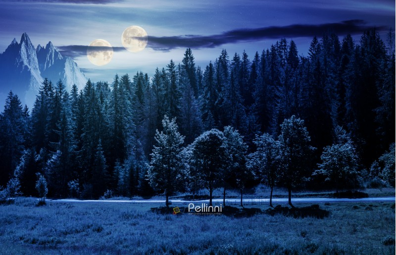 double moon over the forested landscape at night in full moon light. composite image with mountain ridge in the distance. astronomy phenomenon and fake news concept