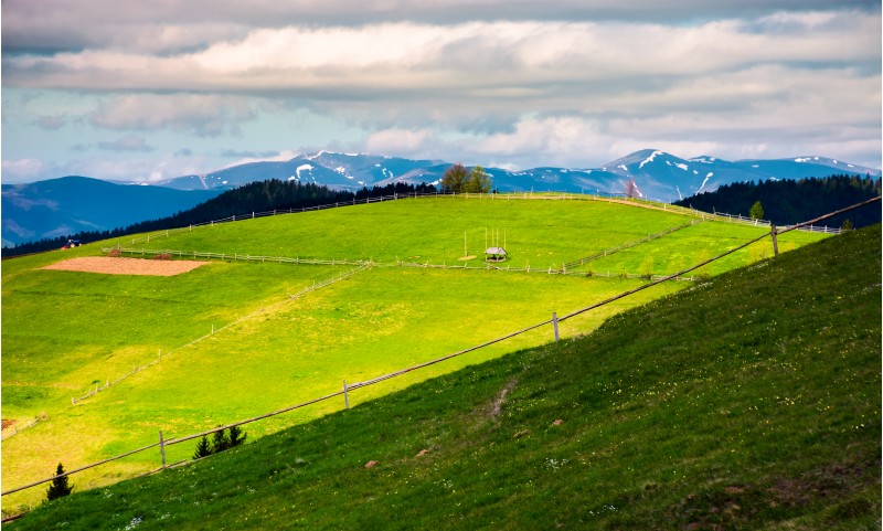 fence on a grassy slope of Carpathian rural area. beautiful landscape on a cloudy springtime day