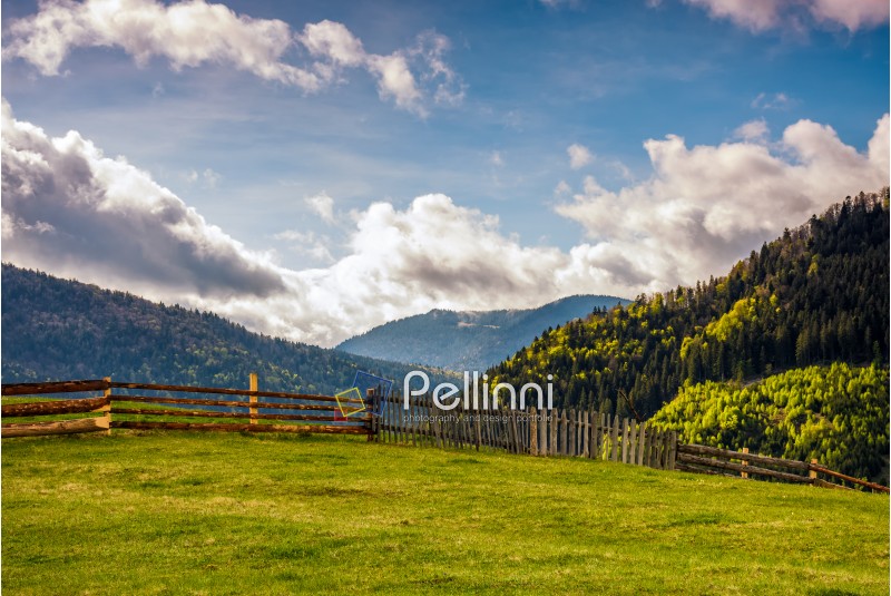 wooden fence through the grassy meadow in mountains. beautiful Carpathian countryside landscape with cloudy sky