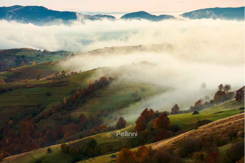 fog and rising clouds roll over the rural hills. gorgeous autumn scenery in mountains at dawn