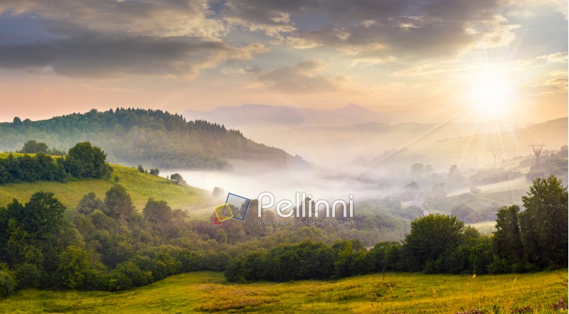 idyllic summer landscape with cold morning fog on hillside in mountainous rural  in evening light