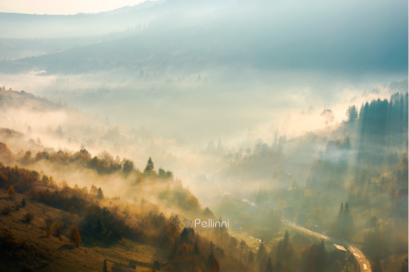 fog rise above the forest on hill. beautiful autumn scenery in mountain at sunrise