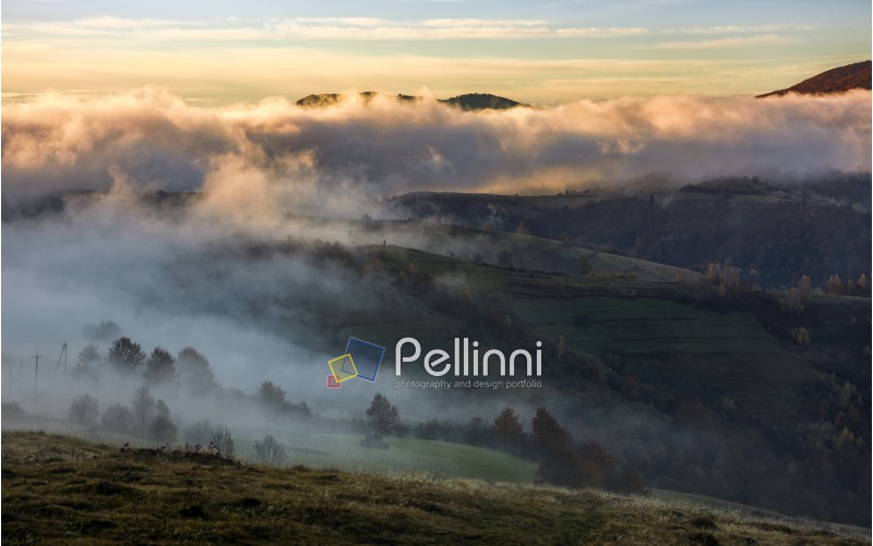 thick fog rising over the rural hills dawn. dramatic Carpathian countryside autumnal scenery