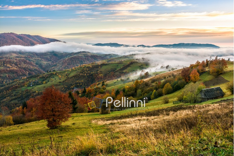 landscape; morning; fog; autumn; mountain; nature; mist; tree; travel; green; warm; golden; red; foliage; forest; view; yellow; environment; hill; season; beautiful; plant; vivid; spectacular; idyllic; ridge; color; meadow; valley; weather; dramatic; haze; fall; sunrise; foliage