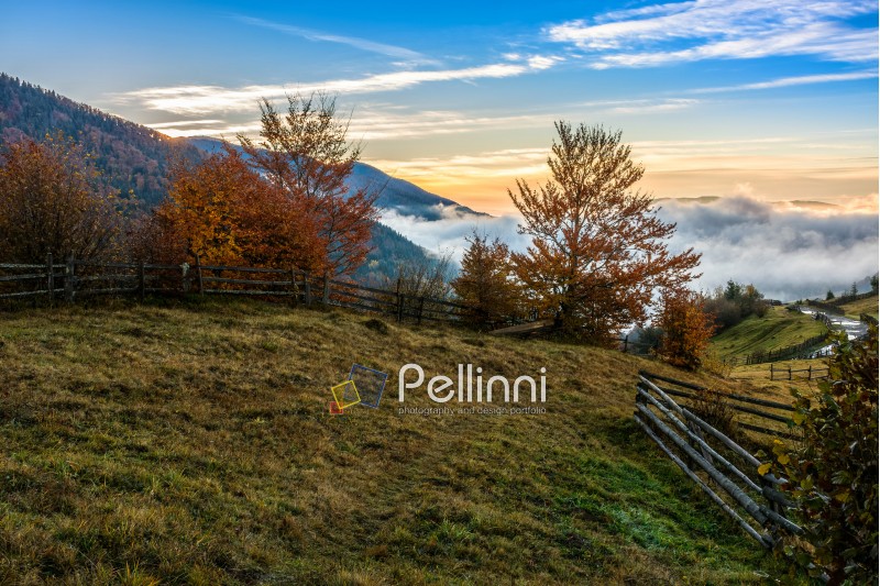 landscape; morning; fog; autumn; mountain; road; fence; nature; mist; tree; travel; green; warm; golden; red; forest; view; yellow; environment; way; hill; fence; season; beautiful; plant; sky; cloud; blue; border; counrtyside; vivid; spectacular; idyllic; ridge; foliage; color; meadow; valley; weather; dramatic; haze; fall; sunrise; foliage; nature