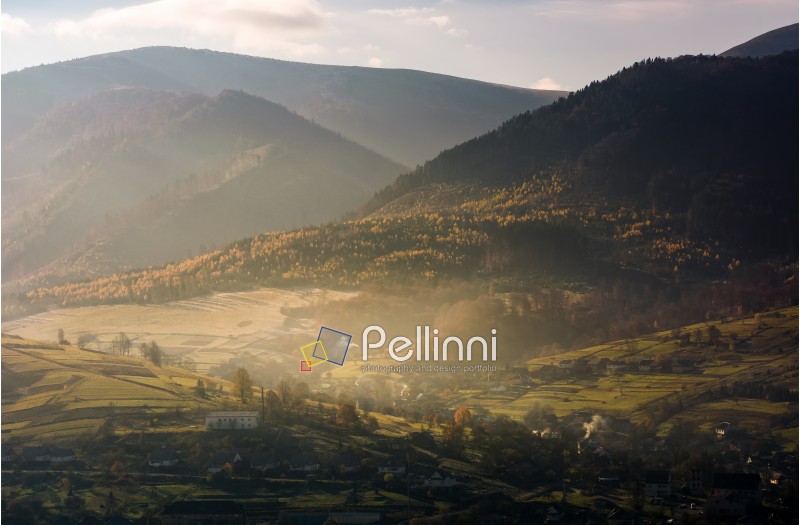 foggy autumn sunrise in mountainous rural area. village and forest with yellow trees on hills of beautiful mountain ridge