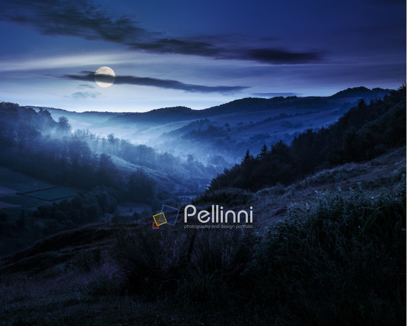 idyllic summer landscape. cold morning fog on hillside in mountainous rural area before sunrise at night in full moon light