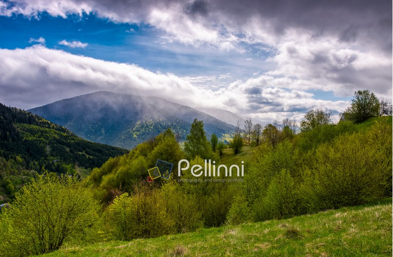 rural; foggy; top; landscape; spring; forest; mountain; grass; meadow; beautiful; outdoor; hillside; spruce; background; blue; cold; nature; haze; mist; agricultural; weather; field; summit; season; hill; idyllic; natural; majestic; tree; country; environment; ukraine
