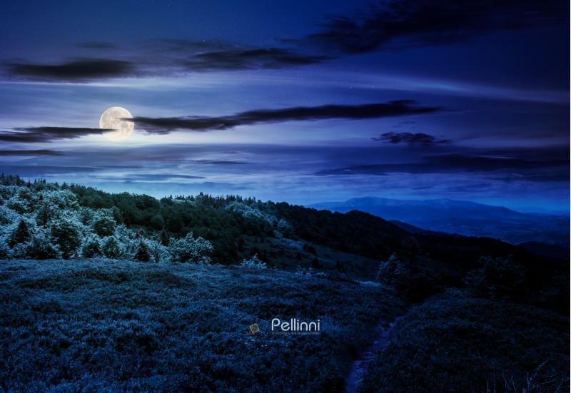 footpath through grassy mountain meadow at night in full moon light. beautiful Carpathian scenery