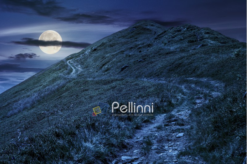 summer mountain landscape. foot path through hill side to the mountain top in full moon light