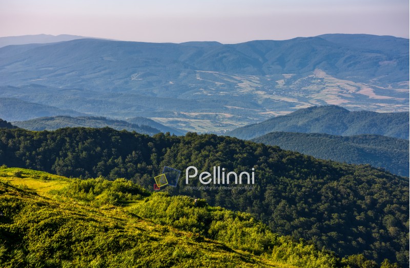 slope of mountain range with forest and on hillside. beautiful summer scenery