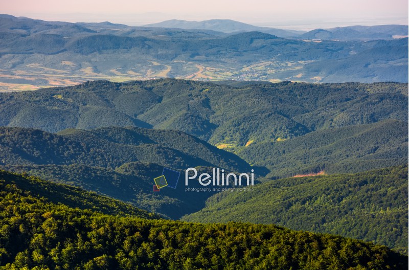 slope of mountain range with forest and on hillside. beautiful summer scenery