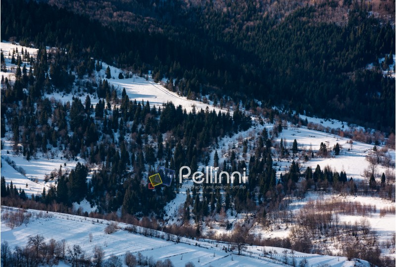 forest on hill in rural area in winter. beautiful textures and patterns on nature viewed from above