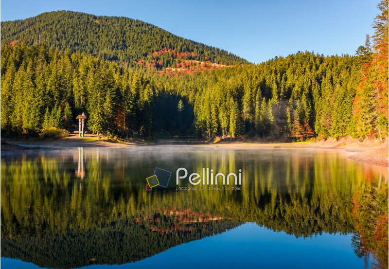 National Park Synevyr, Ukraine - October 23, 2016: forest reflection on foggy surface of Synevyr lake. high altitude mountain lake among spruce forest on beautiful autumn morning