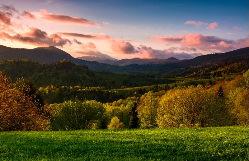 forested hill at cloudy sunset in springtime. beautiful scenery in Carpathian mountains. location - Mizhirya district of TransCarpathian region, Ukraine