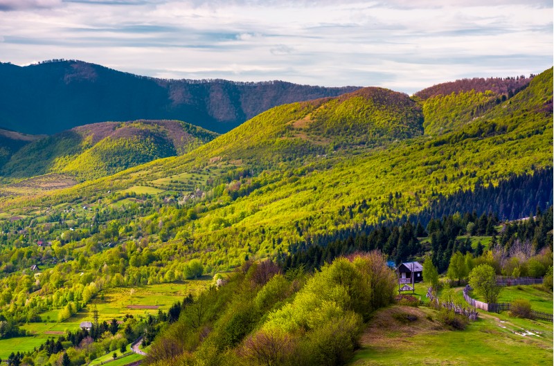 forested hills of Carpathian mountains in spring. lovely nature scenery with village in valley