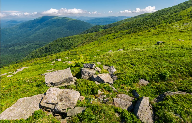 fresh summer landscape in mountains. rocks on the grassy slope. beautiful location of carpathian mountain. explore the world concept
