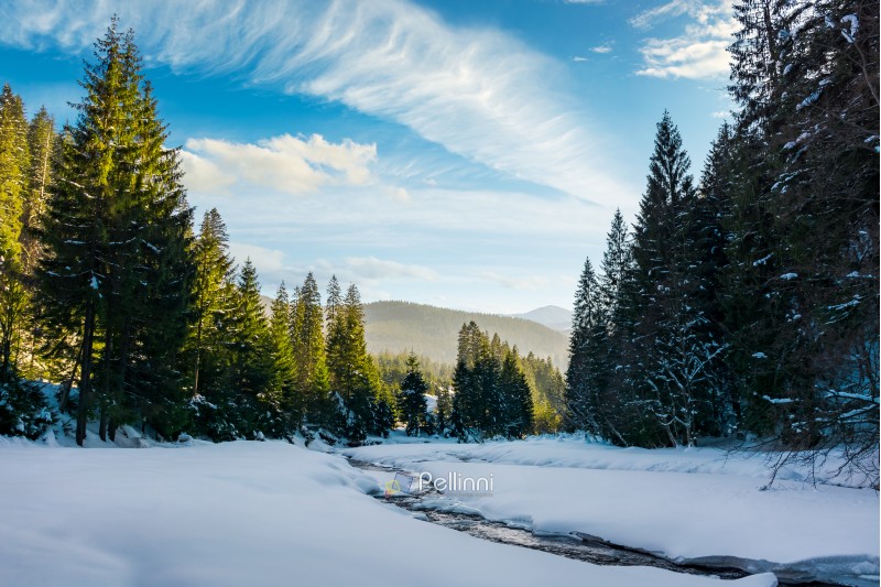 frozen mountain river among the forest in winter. spruce trees and riverbank covered with snow. gorgeous cloudy sky above the distant ridge in evening light