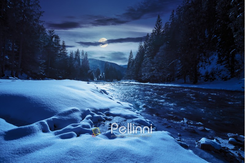 frozen river among conifer forest with snow on the ground in carpathian mountains at night in full moon light
