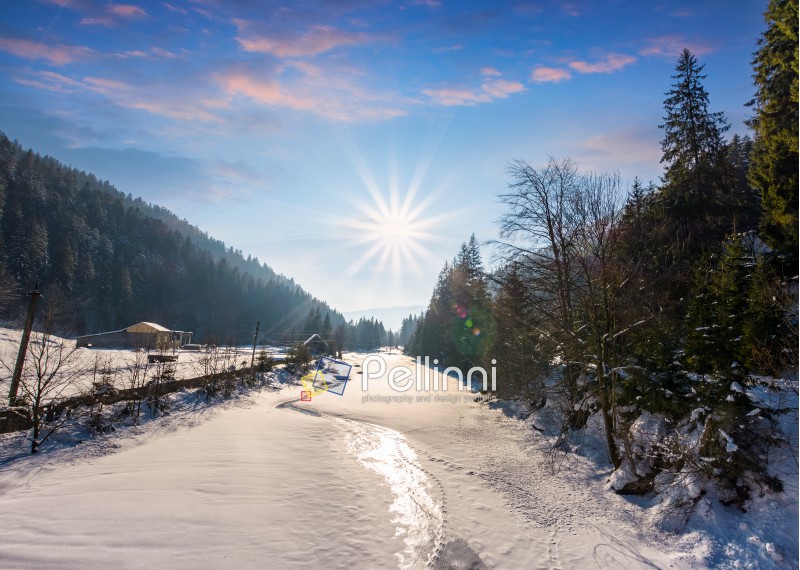frozen river in forested mountains. beautiful scenery with spruce trees and village on the banks