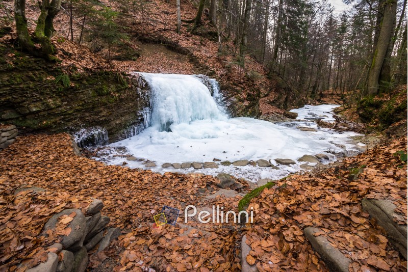 frozen waterfall on the  river among forest with old brown foliage on the ground