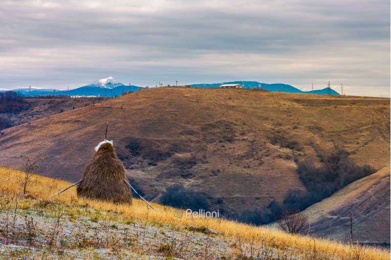 haystack on a step slope. mountain with snowy peak in the distance. gloomy late autumn in mountainous rural area