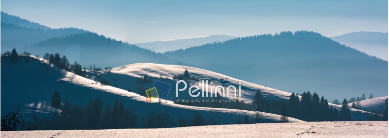 gorgeous winter panorama of snowy rolling hills. beautiful landscape with forested mountains in a distance