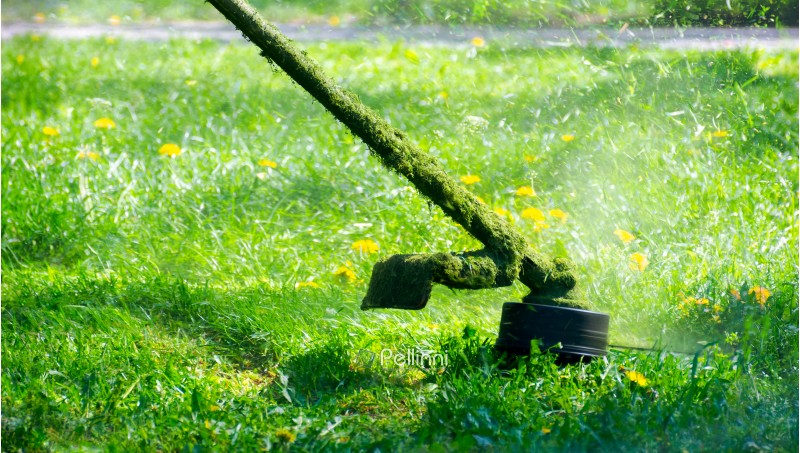 grass cutting in the garden with gasoline trimmer. lovely nature background