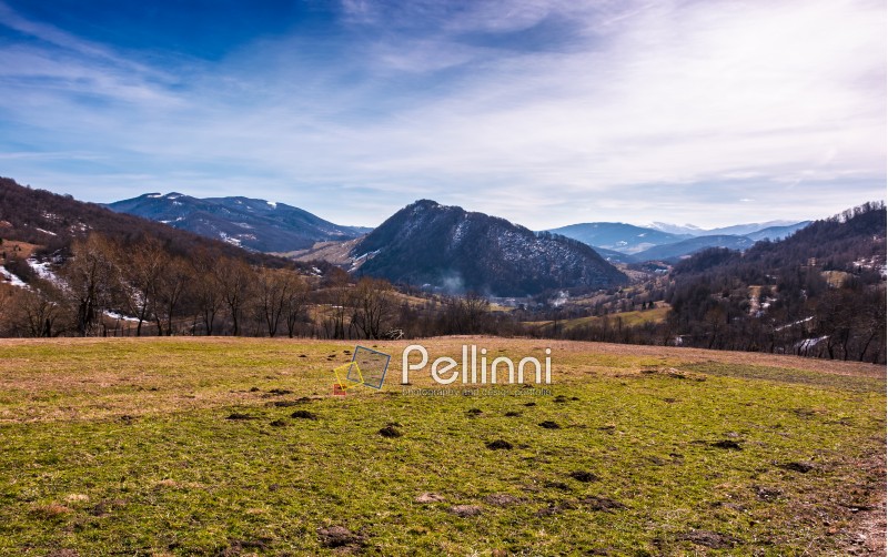 grassy field on an slope in springtime. lovely countryside landscape in Carpathian mountainous area