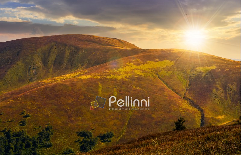 grassy meadow of a hillside on top of mountain ridge. beautiful summer landscape with blue sky and a cloud at sunset