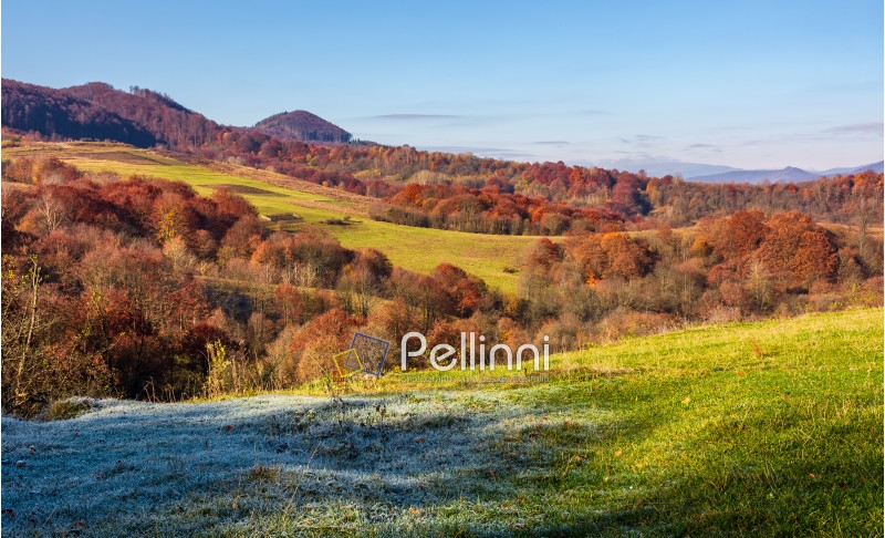 grassy meadow in mountainous countryside. beautiful landscape with forest on hillside in warm late autumn day