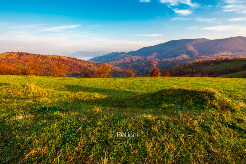 grassy meadow on hill side at sunrise in autumn. beautiful mountainous landscape with distant valley in fog