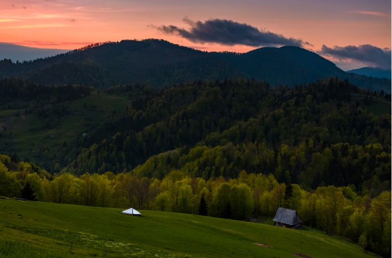 grassy rural slope at dusk. woodshed on the hillside near the forest. beautiful landscape with reddish sky and rolling hills in springtime