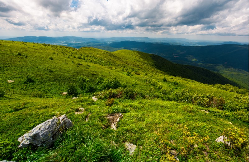 grassy slope of the mountain on a cloudy day. beautiful summer landscape of Carpathian mountains